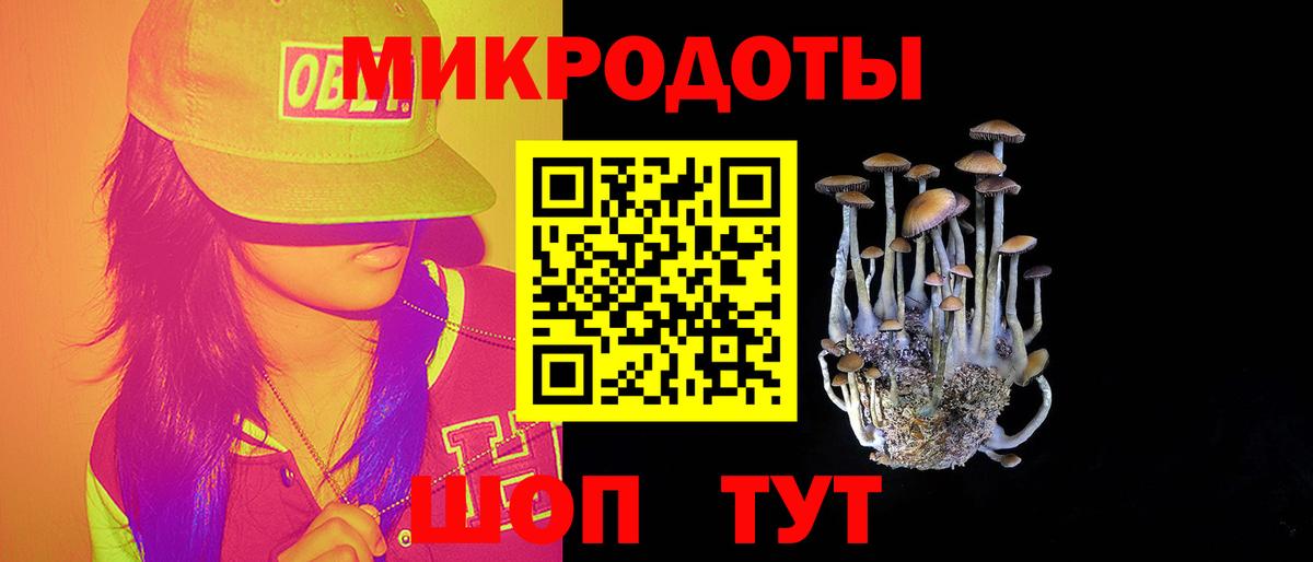 Камышлов  Галлюциногенные грибы Cubensis  где найти   Вход с VPN 